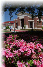 library picture