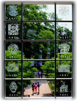 picture of distance library window