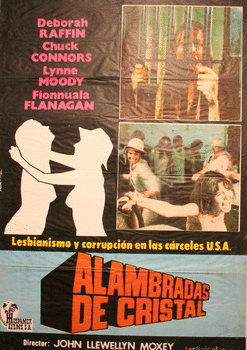 Spanish Poster, Nightmare in Badham County
