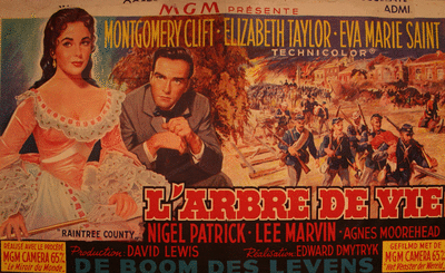 French movie poster for Raintree County.